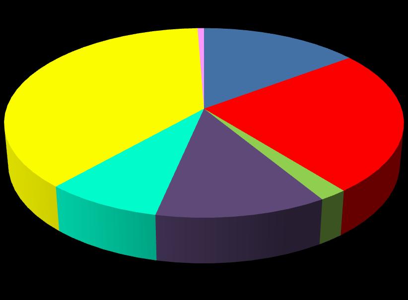 183 205 PO mikropodnik 11 538 579 4 517 836 7 464 086 FO zemědělec FO živnostník NNO 2 510 432 3 691 484 NNO církev VS obec 611 040 VS přísp. organizace Obr. 1.1 Podpořené projekty dle typu žadatele, zdroj: statistika MAS Tab.