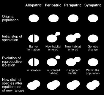 biotop (u cizopasníků například jiného hostitele) a následně se nemůže křížit s většinovou populací (saltační speciace) sympatrická