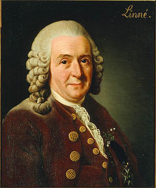 Carl von Linne (Carolus Linnaeus) (1707 1778) Systema Naturae, Genera Plantarum, Critica