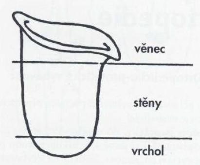K výrobě protéz jsou využívány umělé materiály (termoplast, silikony, syntetické tkaniny, silikony, vyztužené plasty apod.