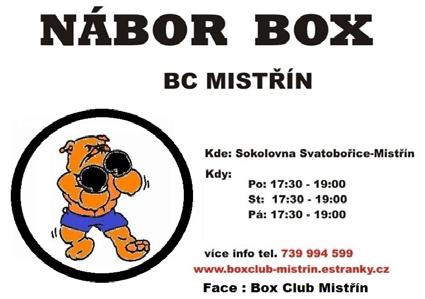 Poté přišli na řadu zástupci domácího boxerského oddílu, všichni zúčastnění trenéři a v neposlední řadě zástupci JM oblasti boxu, především jeho předseda p. Dalibor Klobáska.