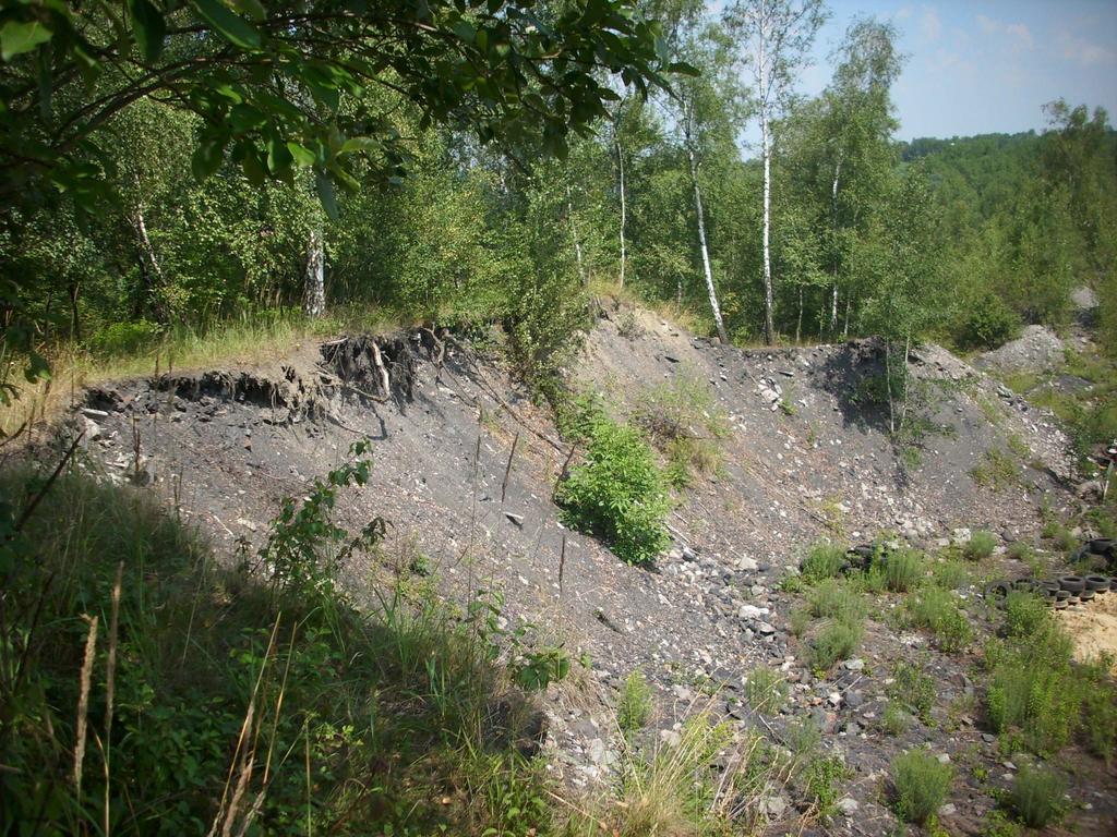 lokalitě, 22.7.