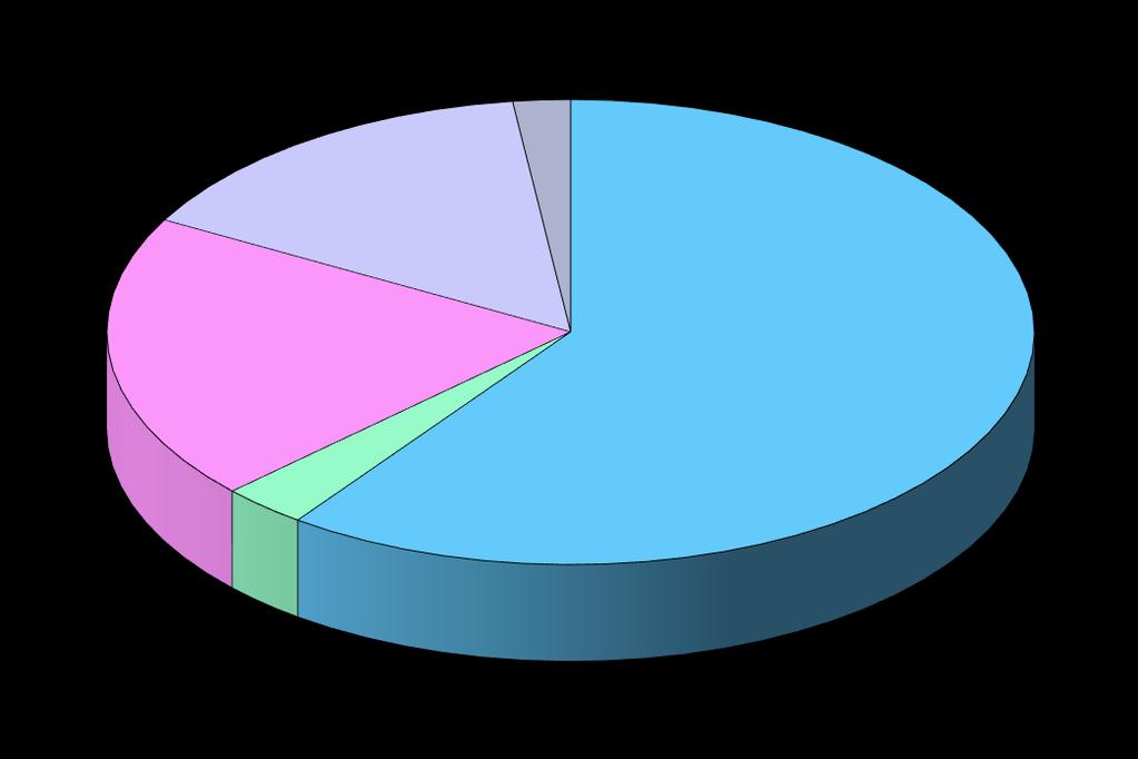 Důležitost omítek místa výskytu plísní v interiéru Sanita 15% Ostatní 2% Ostění