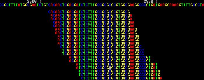 Mnohonásobné prosekvenování jednoho úseku DNA (tj.