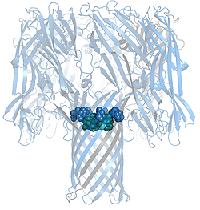 Oxford Nanopore Technologies Nanopor tvořen proteinem