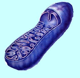 Gen, sekvence DNA,