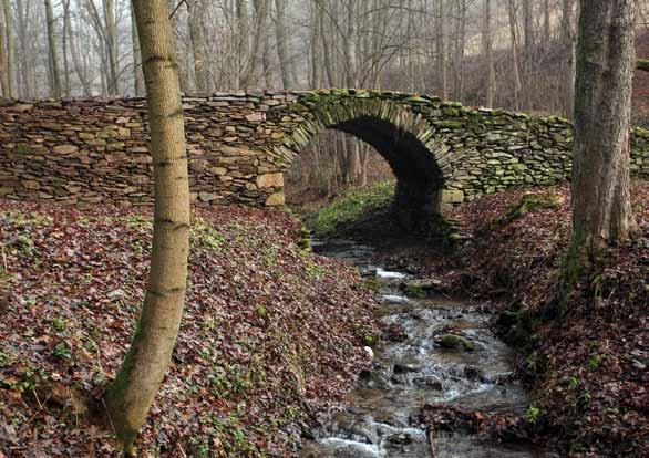 ryzosti obsahující stříbro a paladium má na Rýchorách dlouhou tradici. První písemné zmínky jsou z roku 1542 a největší rozmach těžby je zaznamenán od druhé poloviny 16. století 