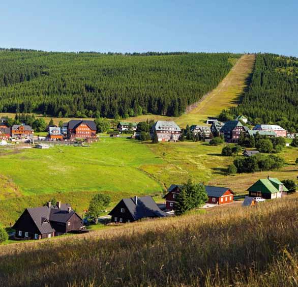 V tomto úseku trasy na česko-polské hranici se vám otevírají výhledy na polské Krkonoše, na Svorovou horu i na Sněžku.