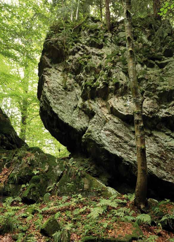 Na naučné stezce Berghaus