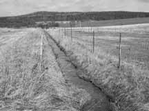 Nešetrné využívání naší krajiny v důsledku přispívá k extrémním klimatickým jevům.