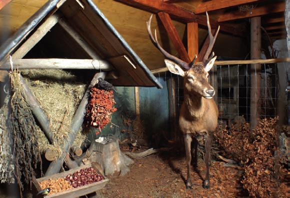 lety na lyžích, který má po poslední přestavbě v roce 2000 kritický bod 185 m. Na mamutím můstku se konalo v letech 1983 a 1992 Mistrovství světa v letech na lyžích.
