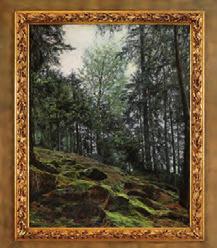 Většina domů pochází z doby po požáru města v roce 1788.