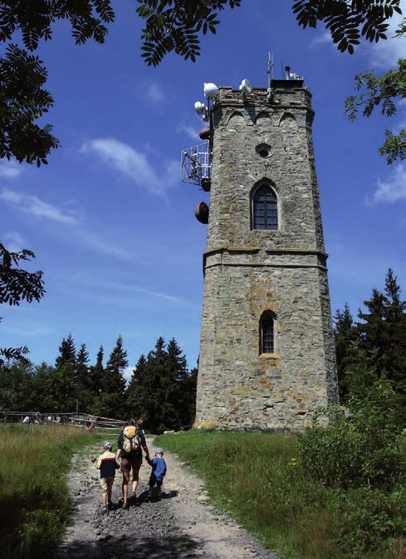 Rozhledna Žalý