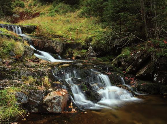 Údolí Mumlavy Z areálu rudných dolů směřujete dále po cestě až k rozcestí, kde se cesta napojuje na žlutou turistickou trasu.