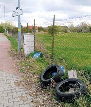 století oddělení mysli od těla a člověka od přírody, čínská medicína nadále trvá na svých principech, které se nám, Středoevropanům, postupně ukazují jako přinejmenším velmi zajímavé.