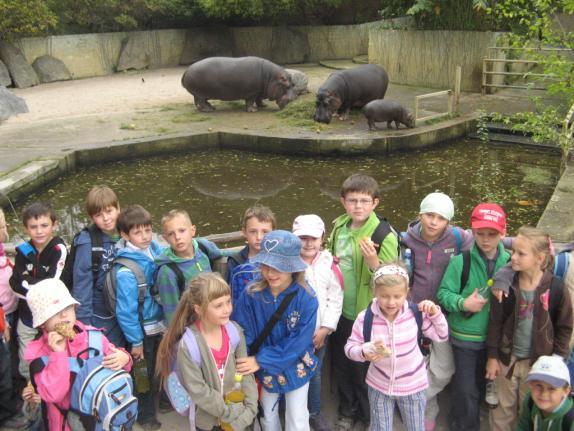 Na stopách jsme pozorovali stopy a stopovali jsme rysa. Mgr. Petra Mikulová Procházka zoologickou zahradou Za krásného podzimního počasí se II.