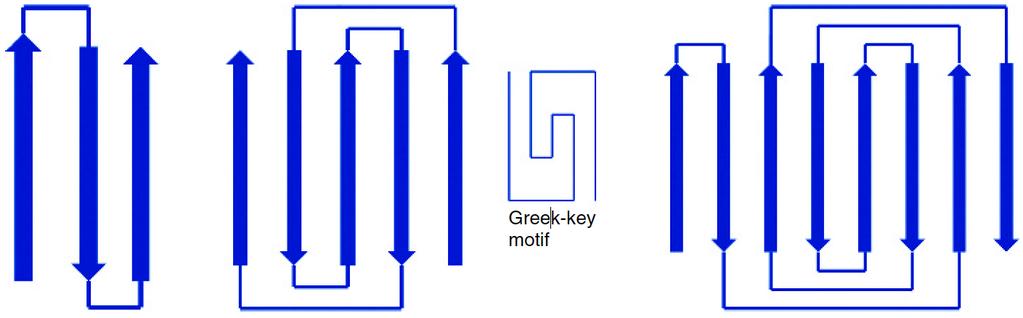 3) Strukturní motivy v proteinech b -meandr Řecký klíč