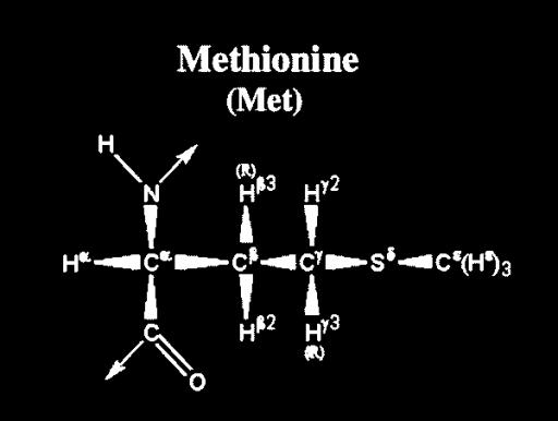 8) Aminokyseliny s atomem