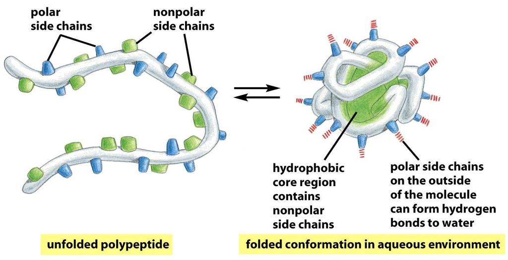 Figure 3-5 Molecular Biology of