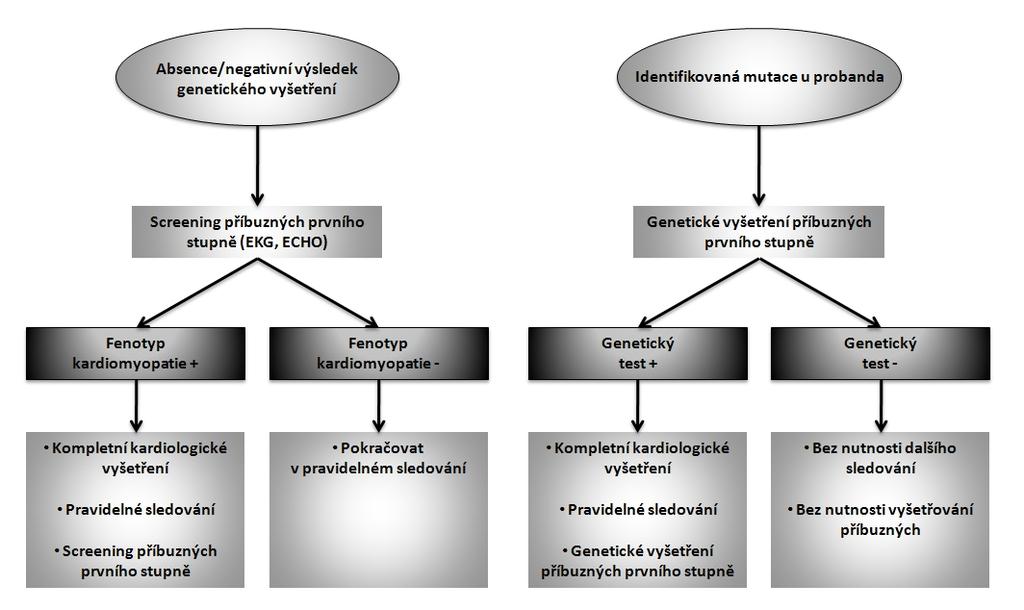 Genetické vyšetření V případě identifikace příčinné mutace je genetické