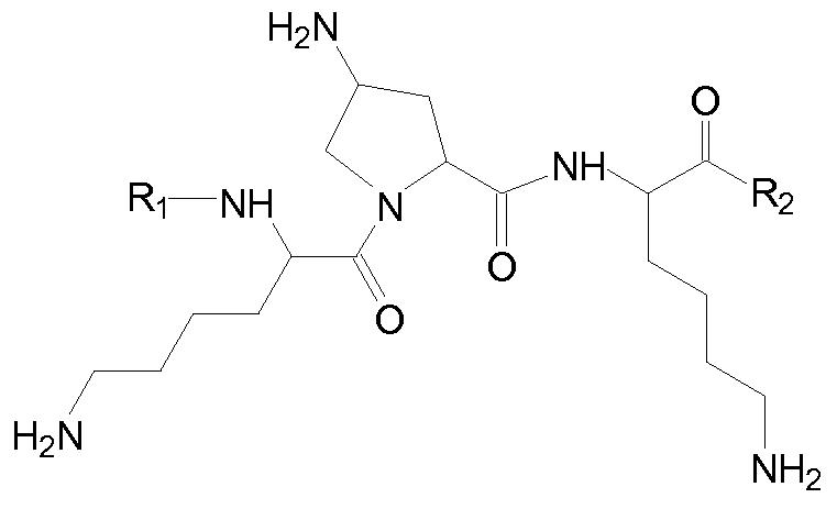 α-helixu prolin, hydroxyprolin b) AK s objemnými