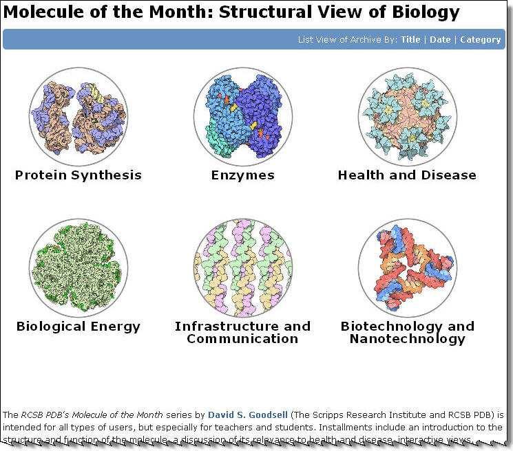 Molecule of the