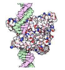 Protein DataBank (PDB) Hlavní a klíčová databáze pro řešení molekulárně biologických otázek Protein Databank PDB od roku 1972 Brookhaven National Laboratory