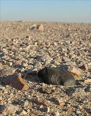 Meteority dělení podle složení Kamenné chondrity Tvoří většinu známých meteoritů. Mají zrnitou strukturu a obsahují téměř vždy podíl niklového železa.