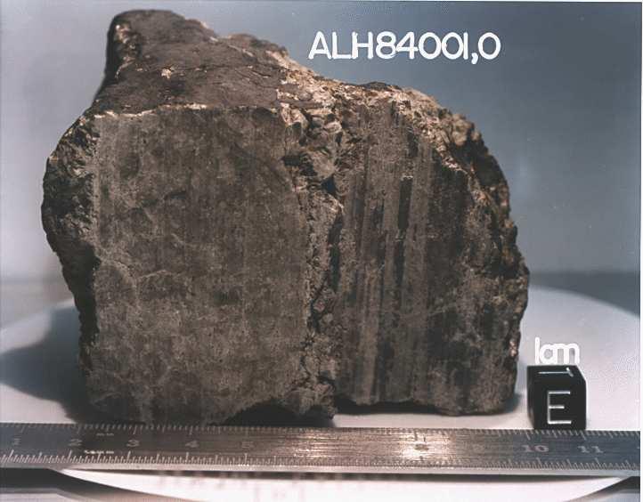 Marťanský meteorit ALH84001 r.