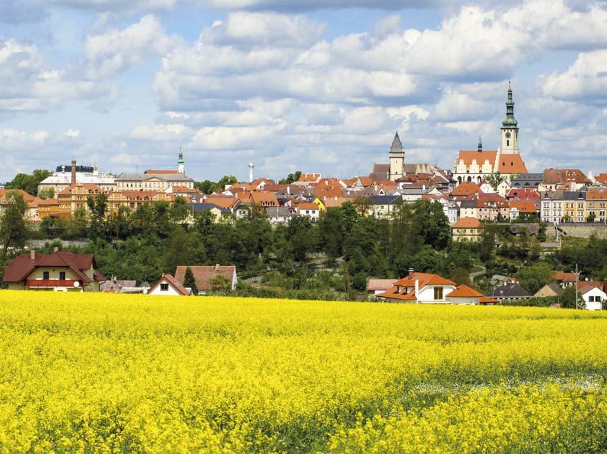 2018 je pořadatelem již tradičního Týdne sociálních služeb ČR a výtvarné soutěže Šťastné stáří očima dětí, spolupořadatelem ocenění Národní cena Pečovatel/ka roku, držitelem licence E-Qalin pro ČR