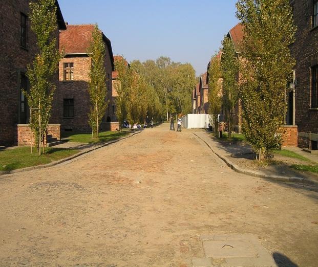 Školní
