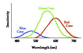 Barevné vidění lidského oka Modrou barvu vnímáme v okolí