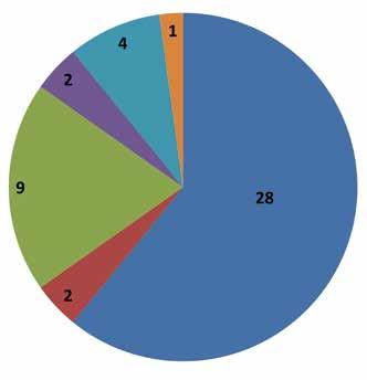 KLIENTI ROKU 2017 V roce 2017 jsme naši péči poskytovali pouze 9 měsíců. Z organizačních důvodů a změn na pozici garanta lékařské služby nebylo možno po dobu 3 měsíců službu poskytovat.