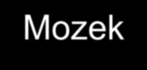 Mozek