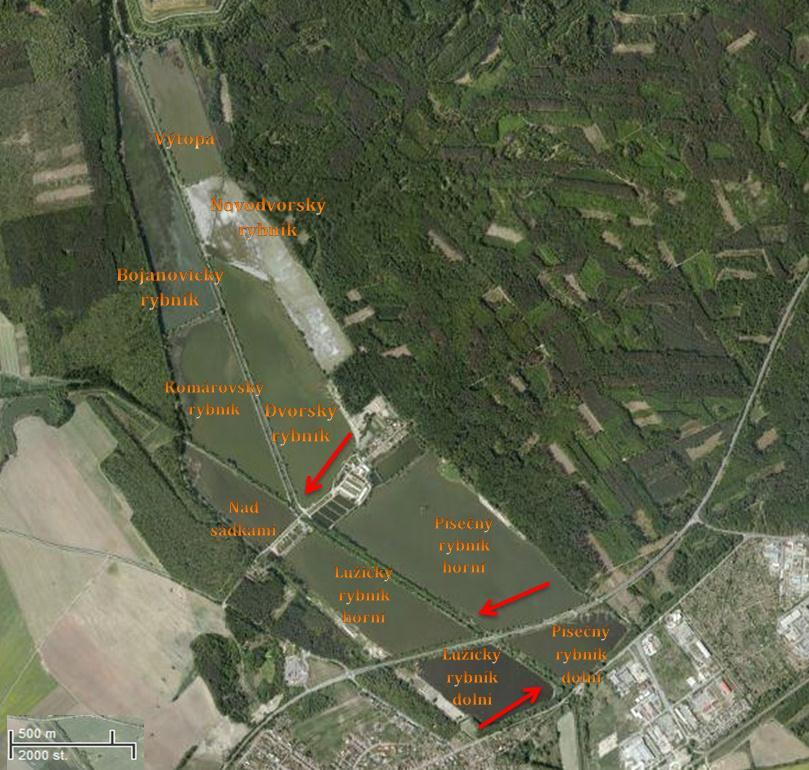 4.2 Charakteristika sledovaných rybníků Měření probíhala na rybnících Dvorský (48 51'15.181"N, 17 4'19.361"E), Písečný horní (48 50'58.037"N, 17 4'57.718"E) a Lužický dolní (48 50'48.463"N, 17 5'14.