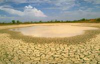capacity, agro-environmental methods, early-warning systems, green