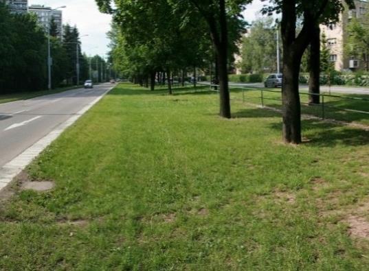 Příklady adaptačních opatření Examples of Adaptation Measures Urbanizovaná krajina / Urban landscape - Hospodaření se srážkovými vodami Rainwater management - Funkční a ekologicky