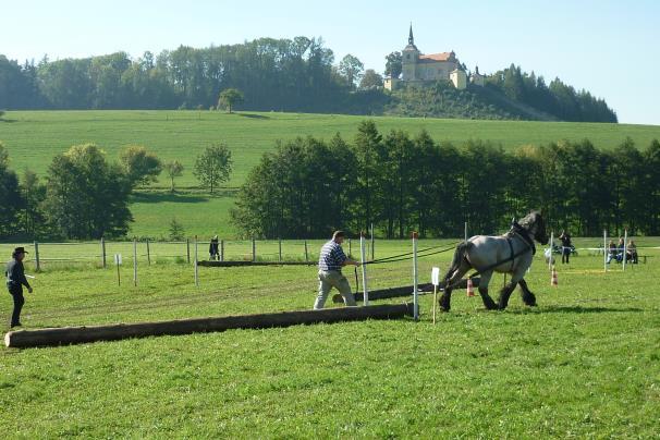 Setkání koňských sil pod Homolskými schody V sobotu 28. září 2013 se konal pátý ročník Setkání koňských sil pod Homolskými schody, letos opět na louce za tělocvičnou u cesty do Velké Lhoty.