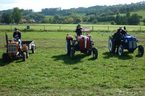Disciplínu Ovladatelnost v kládě (kočí s koněm předvádějí práci s kládou na překážkách - branka, osmička, couvání, slalom a navalování) nejlépe zvládl Jiří Knapovský s koněm Streid.