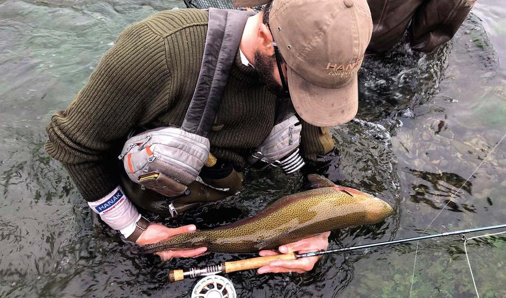 Muškařské pruty Karim Carloni, Itálie 2018 Sea Trout 896 a 8100 Novinka Velmi výkonný prut vyroben z vysoce