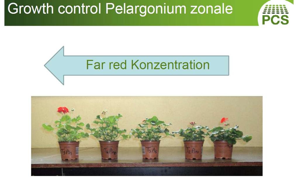 Světlo vliv vlnové dékly na růst habitu Poměr mezi červenou s modrou složkou