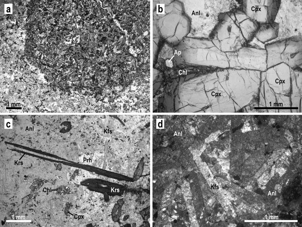 Obr. 3: Mikrofotografie různých petrografických typů těšínitů: a kontakt leukokrátní žíly (typ IV) a hostitelského melanokrátního těšínitu (typ II); b automorfní vyrostlice klinopyroxenu s výraznou