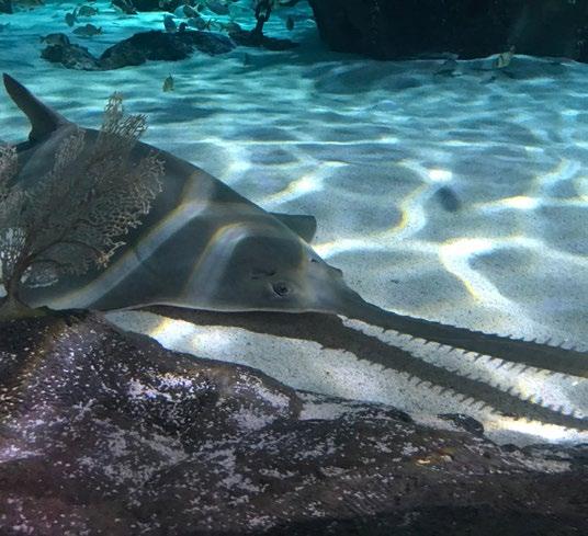 Naši pouť jsme zahájili v jihokarolínském Myrtle Beach, kde jsme se mimo jiné zúčastnili prestižního turnaje US Masters v adventure golfu (tento máme i v našem areálu).