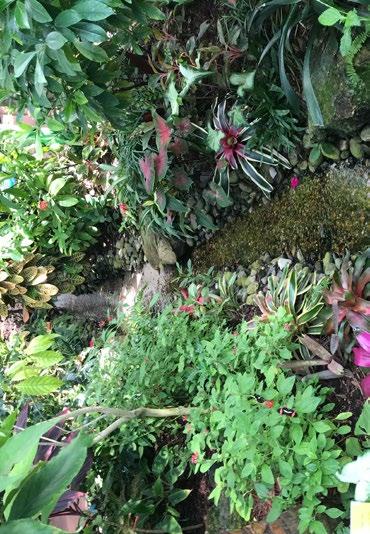 SBÍRÁNÍ ZKUŠENOSTÍ ZE ZAHRANIČNÍCH ZOO Z Tampy jsme zamířili dále na jih, k námi nejočekávanějšímu cíli, močálům rezervace Everglades.