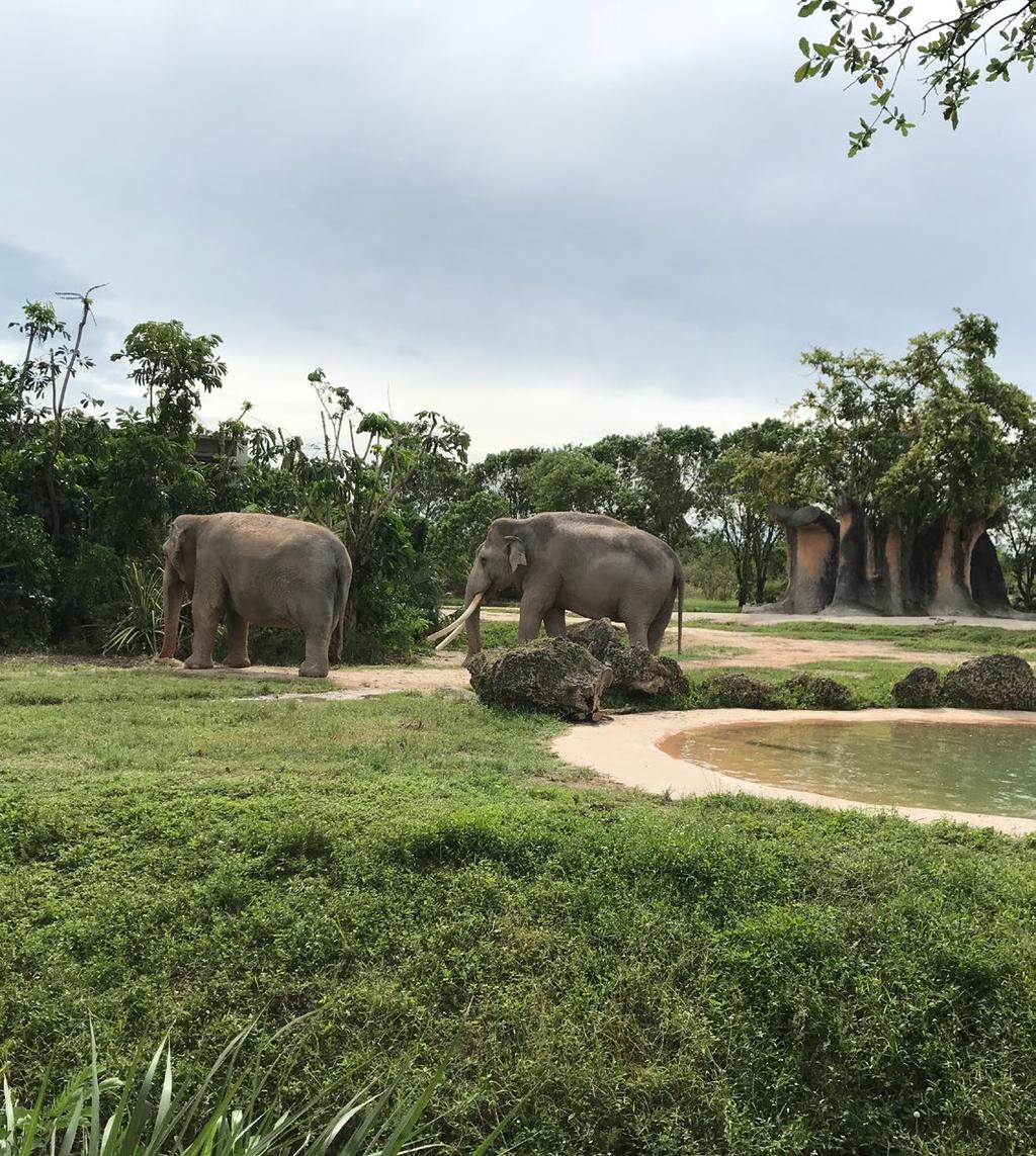 SBÍRÁNÍ ZKUŠENOSTÍ ZE ZAHRANIČNÍCH ZOO Vracíme se zpět na pevninu do Miami, odkud jsme letěli zpět domů.