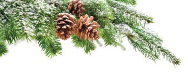 Weinviertel Tourismus/Astrid Bartl fotolia.com/smileus ADVENT V DOLNÍM RAKOUSKU 2018 Co musíte vědět o nejkrásnějším období v roce: naše adventní abeceda pro rozehřátí!