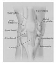 Br Med J 1:779 Masaki Watanabe 1962 První artroskopicky asistovaná sutura menisku Memories of early days of arthroscopy Masaki Watanabe