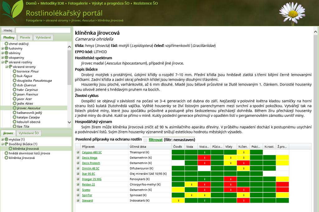 portál/plodiny/okrasné rostliny/okrasné stromy/propojení