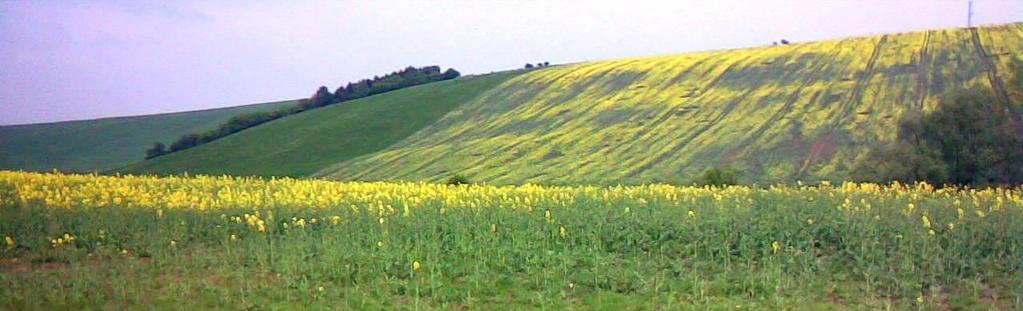 Dobrý zemědělský a environmentální stav stav DZES 5 Omezování eroze (podmínky se pro osevy 2018 nemění) Půda silně erozně ohrožená (SEO): nepěstovat erozně nebezpečné plodiny