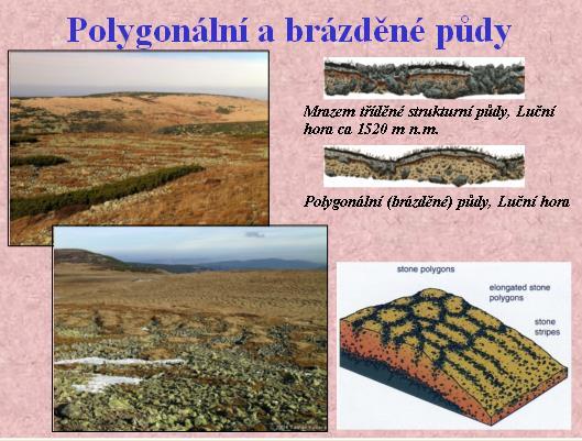 Geomorfologie - mrazové půdní tvary: polygonální a brázděné půdy